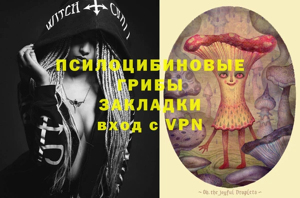 винт Саяногорск